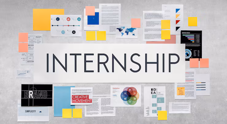 Internship at Synergy Thenkasi